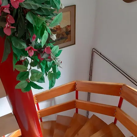 Apartamento With Wifi - 14387